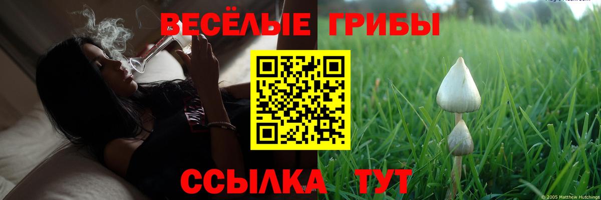 Галлюциногенные грибы мицелий Фролово
